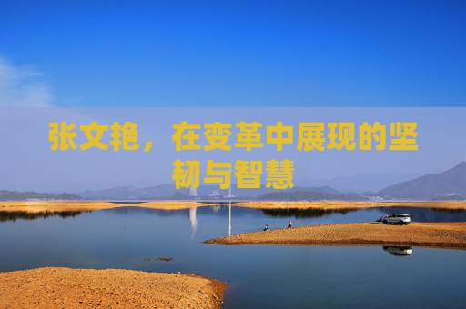 张文艳,在变革中展现的坚韧与智慧 张文艳,在变革中展现的坚韧与智慧
