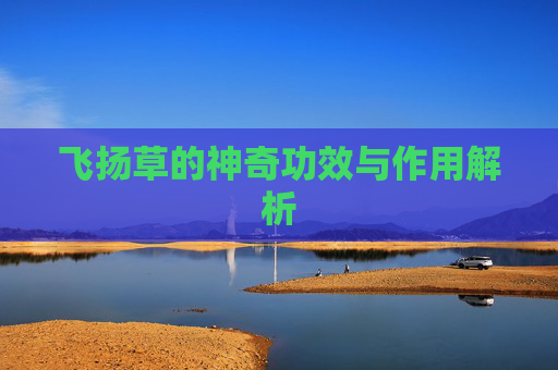 飞扬草的神奇功效与作用解析