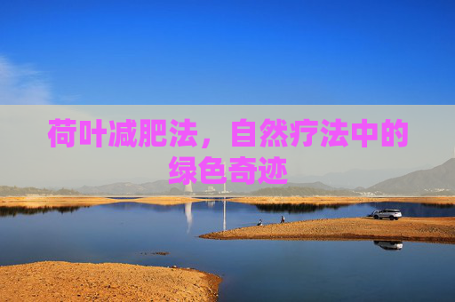 荷叶减肥法，自然疗法中的绿色奇迹