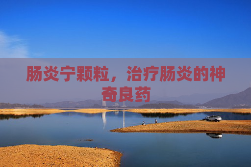肠炎宁颗粒，治疗肠炎的神奇良药