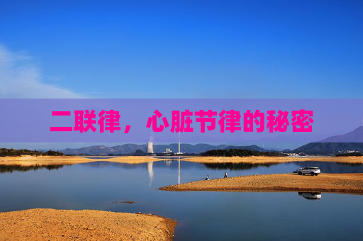 二联律，心脏节律的秘密