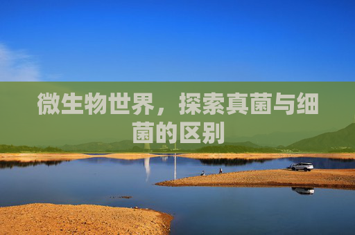 微生物世界，探索真菌与细菌的区别