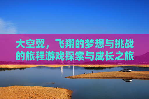 大空翼，飞翔的梦想与挑战的旅程游戏探索与成长之旅