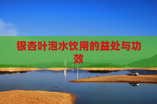 银杏叶泡水饮用的益处与功效 银杏叶泡水饮用的益处与功效