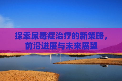 探索尿毒症治疗的新策略，前沿进展与未来展望