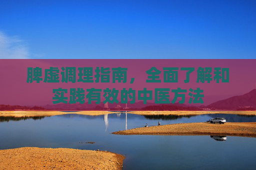脾虚调理指南，全面了解和实践有效的中医方法