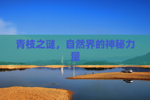 青枝之谜，自然界的神秘力量