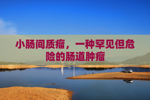 小肠间质瘤,一种罕见但危险的肠道肿瘤 小肠间质瘤,一种罕见但危险的肠道肿瘤