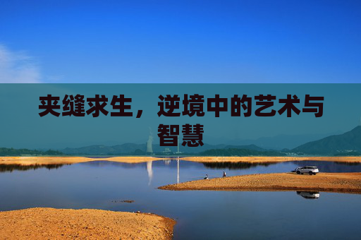 夹缝求生，逆境中的艺术与智慧