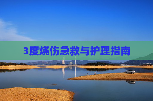 3度烧伤急救与护理指南