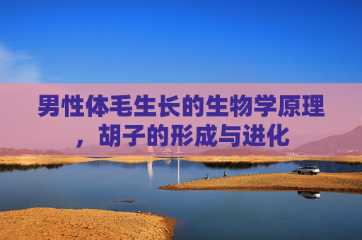 男性体毛生长的生物学原理，胡子的形成与进化