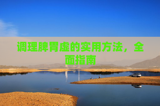 调理脾胃虚的实用方法，全面指南