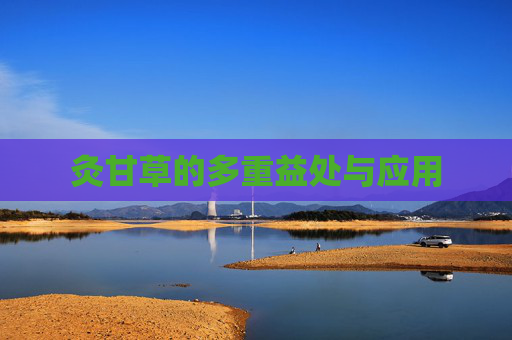 灸甘草的多重益处与应用