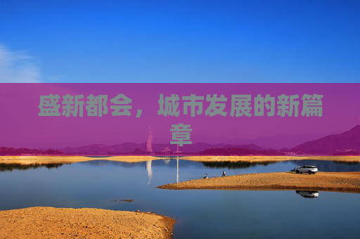 盛新都会，城市发展的新篇章