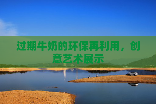 过期牛奶的环保再利用，创意艺术展示