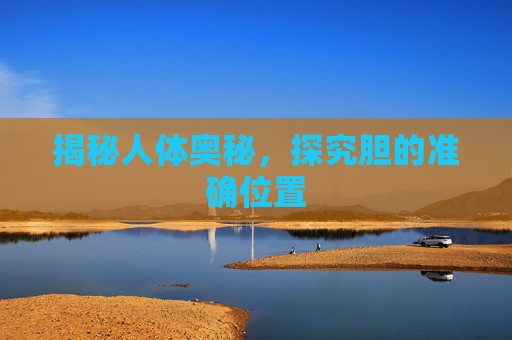 揭秘人体奥秘，探究胆的准确位置