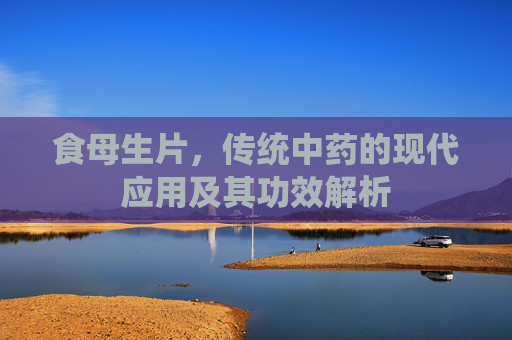 食母生片，传统中药的现代应用及其功效解析