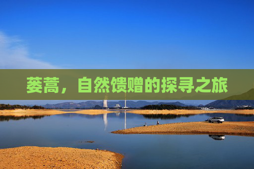 蒌蒿，自然馈赠的探寻之旅