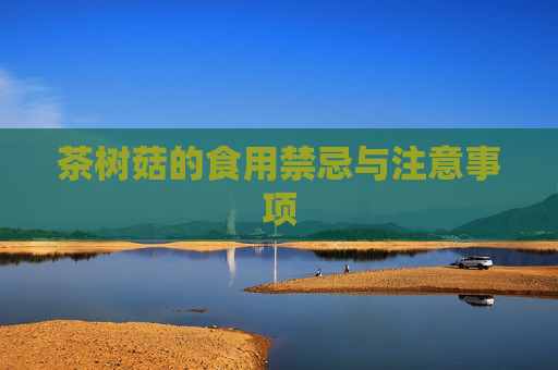 茶树菇的食用禁忌与注意事项