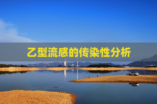 乙型流感的传染性分析