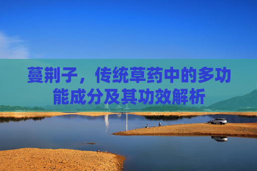 蔓荆子，传统草药中的多功能成分及其功效解析