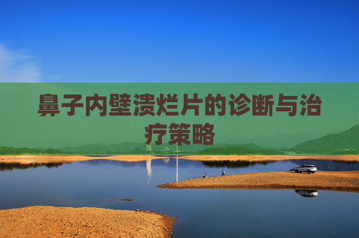 鼻子内壁溃烂片的诊断与治疗策略