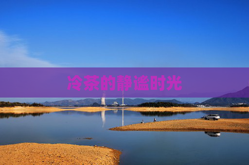 冷茶的静谧时光