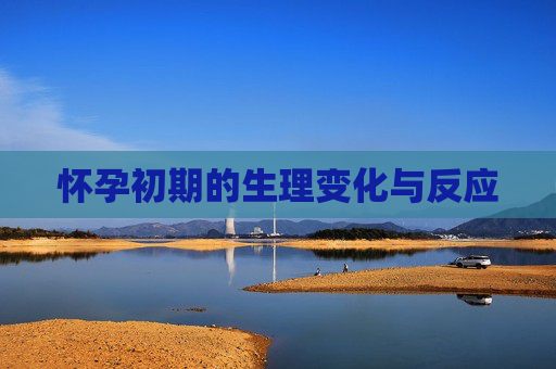 怀孕初期的生理变化与反应