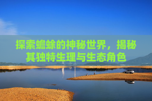 探索蟾蜍的神秘世界，揭秘其独特生理与生态角色