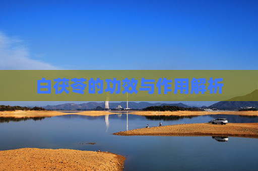 白茯苓的功效与作用解析