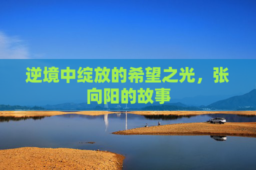 逆境中绽放的希望之光，张向阳的故事
