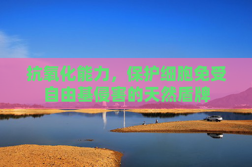 抗氧化能力，保护细胞免受自由基侵害的天然盾牌
