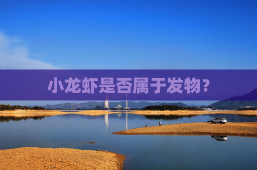 小龙虾是否属于发物？