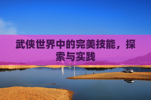 武侠世界中的完美技能，探索与实践