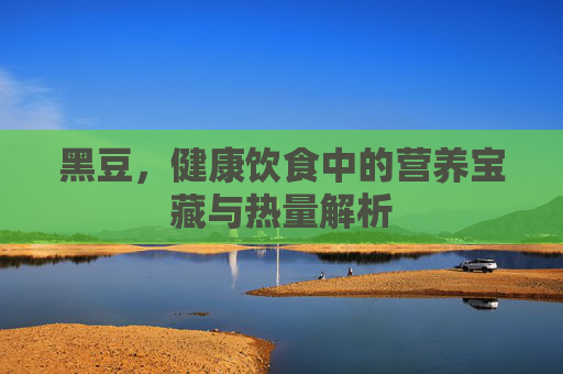 黑豆，健康饮食中的营养宝藏与热量解析