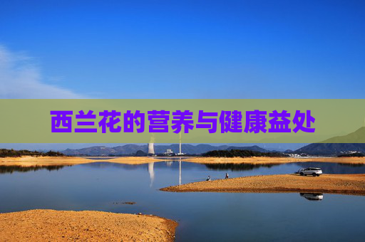 西兰花的营养与健康益处