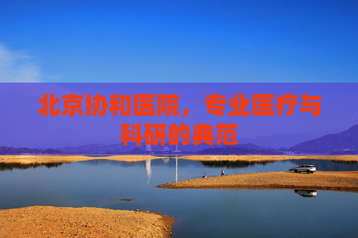 北京协和医院，专业医疗与科研的典范