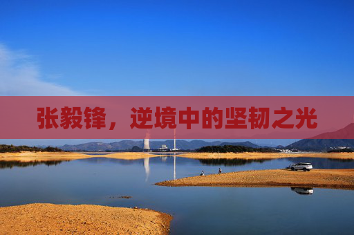 张毅锋，逆境中的坚韧之光