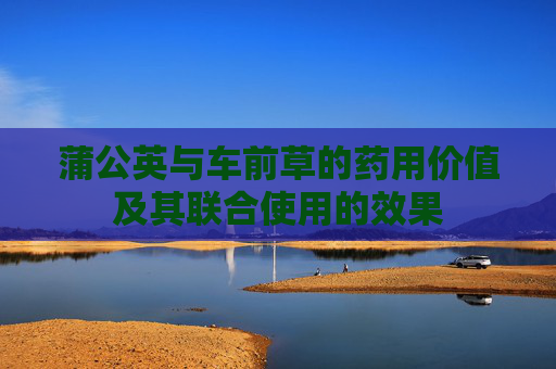 蒲公英与车前草的药用价值及其联合使用的效果