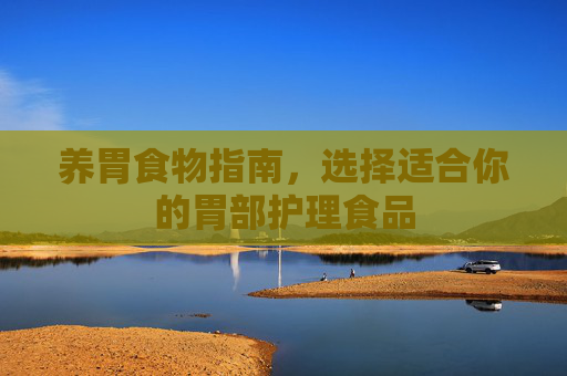 养胃食物指南，选择适合你的胃部护理食品
