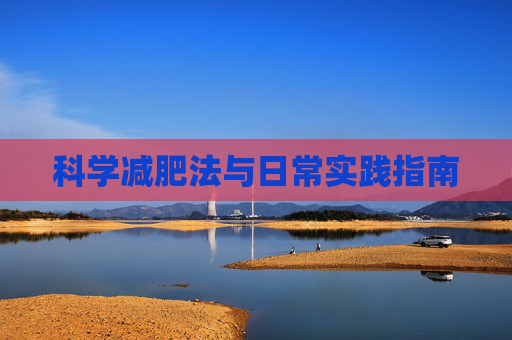 科学减肥法与日常实践指南
