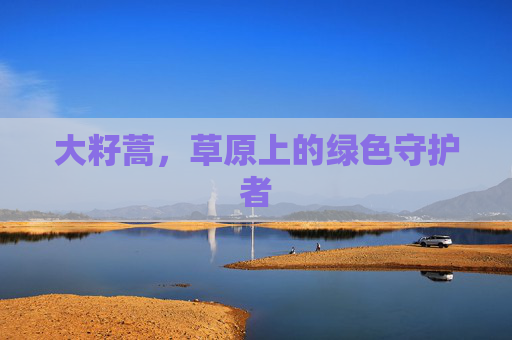 大籽蒿，草原上的绿色守护者