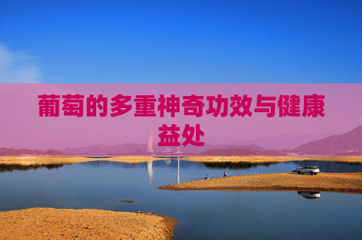 葡萄的多重神奇功效与健康益处