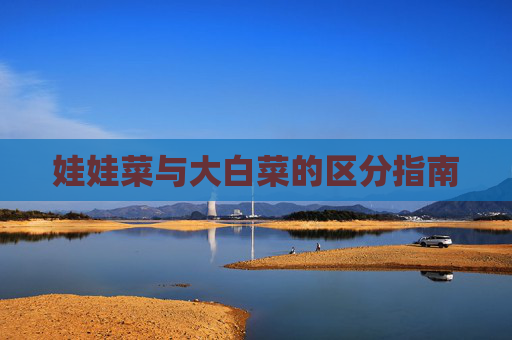 娃娃菜与大白菜的区分指南