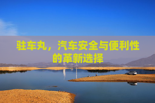 驻车丸，汽车安全与便利性的革新选择