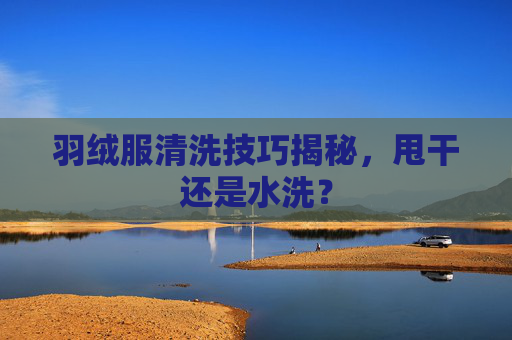羽绒服清洗技巧揭秘，甩干还是水洗？