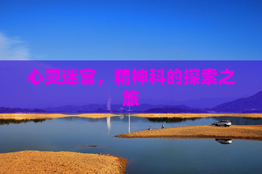 心灵迷宫，精神科的探索之旅