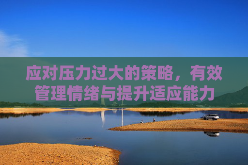 应对压力过大的策略，有效管理情绪与提升适应能力