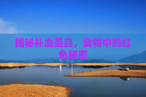 揭秘补血圣品，食物中的红色秘密