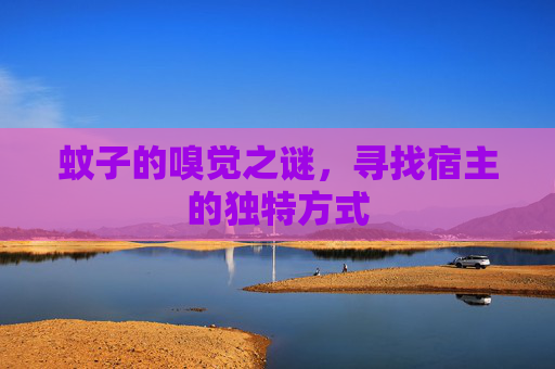 蚊子的嗅觉之谜,寻找宿主的独特方式 蚊子的嗅觉之谜,寻找宿主的独特方式
